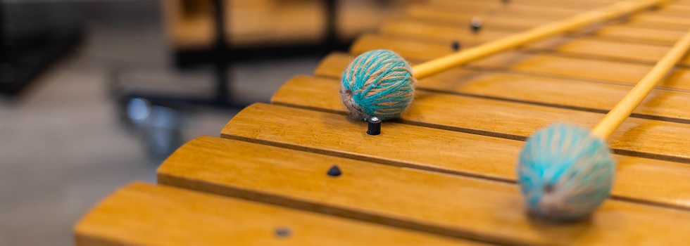 Musikinstrument mit zwei Schlägern